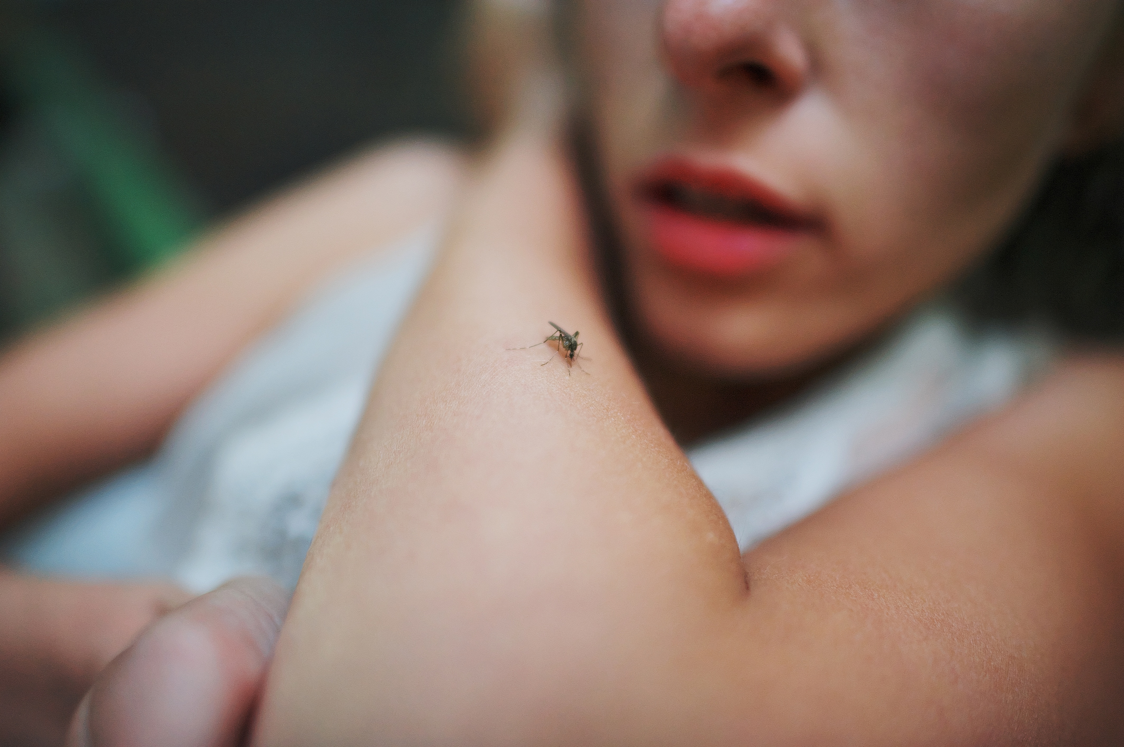 Malaria Test: How It’s Done And What To Expect