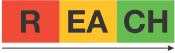 REACH Logo
